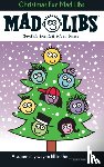 Price, Roger, Stern, Leonard - Christmas Fun Mad Libs
