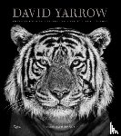 Yarrow, David, Brady, Tom - David Yarrow Photography