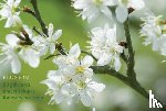Peony Press - Blossom