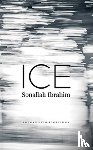 Ibrahim, Sonallah - Ice