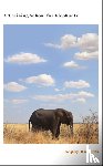 Roberts, Sophy - A Training School for Elephants