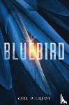 Pierlot, Ciel - Bluebird