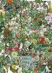Drori, Jonathan - Around the World in 50 Trees