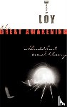 David R. Loy - The Great Awakening