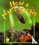Kalman, Bobbie - HOW A PLANT GROWS