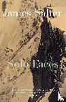 James Salter - Solo Faces