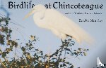 Meanley, Brooke - Birdlife at Chincoteague and the Virginia Barrier Islands