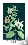 Dormon, Caroline - Flowers Native to the Deep South