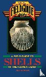 Andrews, Jean - Field Guide to Shells of the Florida Coast