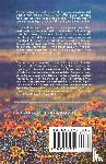  - The Spiritual Meadow