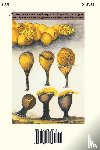 L. Stephenson, Steven - Myxomycetes