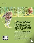 Brown, Tricia - The Itchy Little Musk Ox
