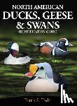 Todd, Frank - North American Ducks, Geese and Swans