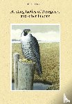 Dekker, Dick - Hunting tactics of Peregrines and other falcons