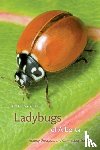 John Acorn - Ladybugs of Alberta