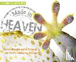 Comfort, Ray - MADE IN HEAVEN