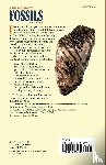 Finsley, Charles - A Field Guide to Fossils of Texas