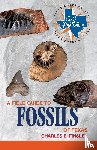 Finsley, Charles - A Field Guide to Fossils of Texas