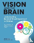  - Vision and the Brain