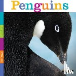 Riggs, Kate - Seedlings: Penguins
