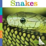 Riggs, Kate - Snakes
