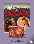 Shirley, Gayle - M Is for Montana