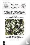  - Water in Nominally Anhydrous Minerals