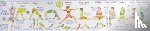 Cook, Liz - Yoga Practice Wall Chart