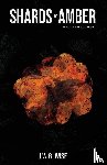 Wise, J. W. G. - Shards of Amber