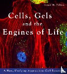 Gerald H. Pollack - Cells, Gels & the Engines of Life