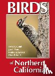 Quady, David E. - Birds of Northern California