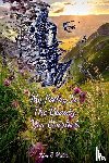 B Miller, Kim - My Poetry Is The Beauty You Overlook