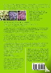 Ballato, Lorraine - Success With Hydrangeas