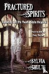 Shults, Sylvia - Fractured Spirits