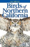 Fix, David, Bezener, Andy - Birds of Northern California