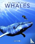 De Silva, Kay - Whales