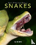 De Silva, Kay - Snakes