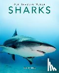 De Silva, Kay - Sharks