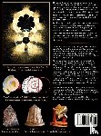 Miller, Seth T. - A New Sacred Geometry