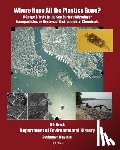 Brack, H. G. - Where Have All the Plastics Gone?: Menage a Trois in the Sea Surface Microlayer: Nanoparticles as Vectors of Environmental Chemicals