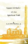 Shenouda, Pope - Characteristics of the Spiritual Path