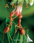 De Silva, Kay - Ants