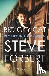 Steve Forbert - Bit City Cat