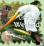 Dumrauf, Doris - Life In A Wetland