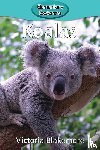 Blakemore, Victoria - Koalas