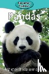Blakemore, Victoria - Pandas