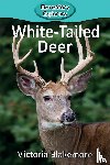 Blakemore, Victoria - White-Tailed Deer