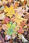 May, Frances, Larsen, Barbara, Lauter, Estella - Seven By 7, The Door County Poet Laureates