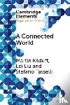 Kilduff, Martin (University College London School of Management), Liu, Lei (University of Exeter Business School), Tasselli, Stefano (University of Exeter Business School) - A Connected World