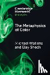 Watkins, Michael (Auburn University), Shech, Elay (Auburn University) - The Metaphysics of Color